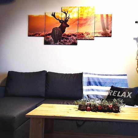 דירות ילנייה גורה Apartament Lenka Karkonosze מראה חיצוני תמונה